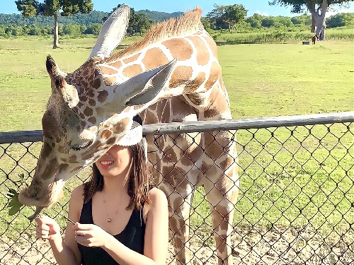 Calauit Wildlife Safari